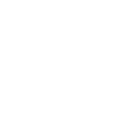 pollo pollo